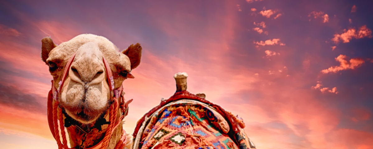 Kur šajā ziemā atrast bezvēja paradīzi Šarm eš Šeihā, Ēģiptē?