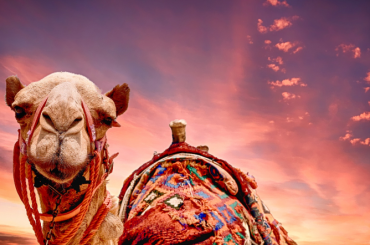 Kur šajā ziemā atrast bezvēja paradīzi Šarm eš Šeihā, Ēģiptē?