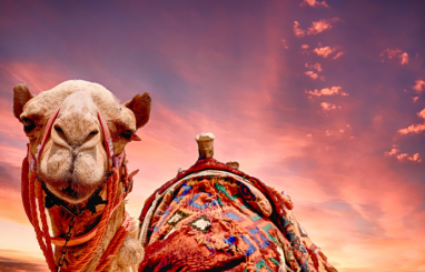 Kur šajā ziemā atrast bezvēja paradīzi Šarm eš Šeihā, Ēģiptē?