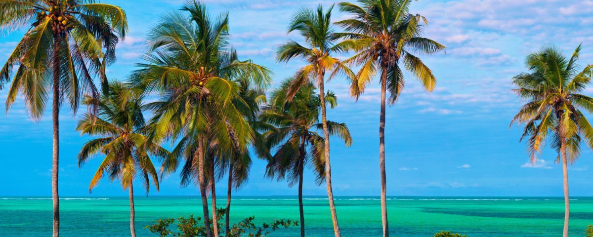 Mūsu pieredze Zanzibārā - turpinājums